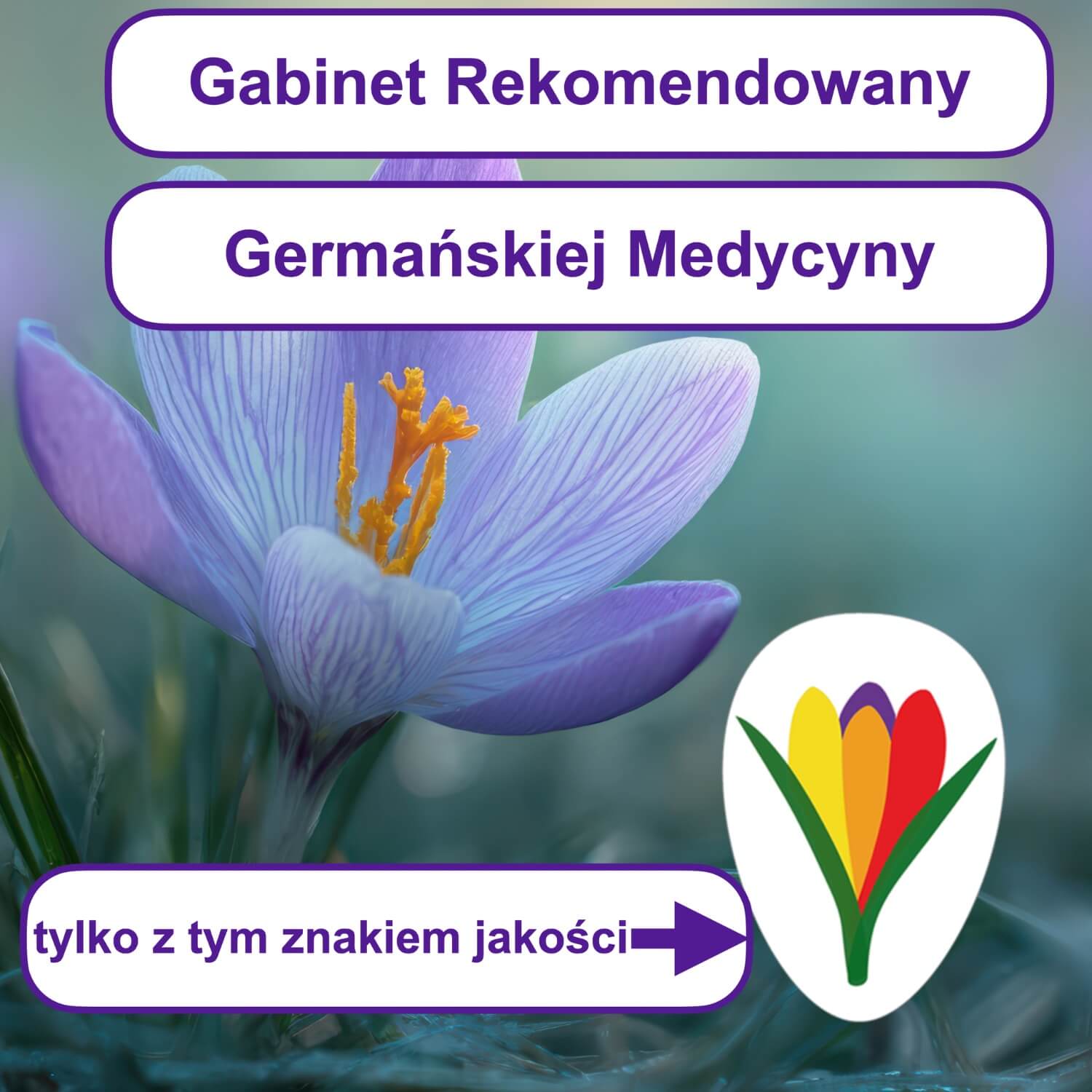 Twój Gabinet z Germańską Medycyną czyli Mentoring dla terapeuty